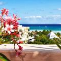 Acanto Boutique Hotel, Playa del Carmen Hotels information and reviews