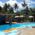 Tropical Garden Lounge Hotel, Ko Samui Hotels information and reviews