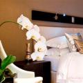 Atlantic Affair Boutique Hotel, Cape Town Hotels information and reviews