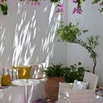 Apollon Hotel Paros - Garden