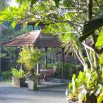 Bali Spirit Hotel - Garden