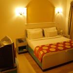 Hotel Sri Nanak - Suite