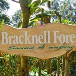 Bracknell Forest Hotel