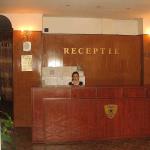 Hotel Cameliei Bucharest