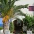 Porto Sisi Hotel Apartments in Crete